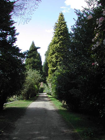 Dscn0015m