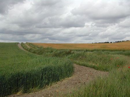 Dscn0097m