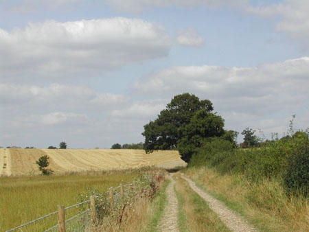 Dscn0328m
