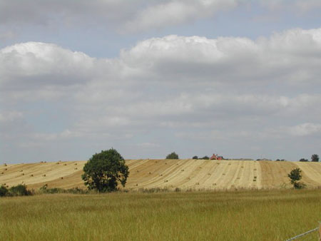 Dscn0329m