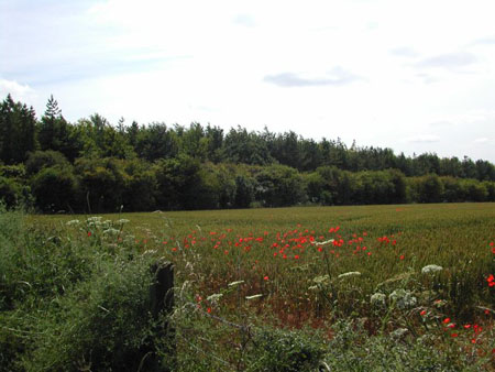 Dscn0291m