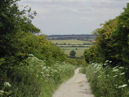 Dscn0305m