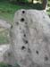 Dscn0287m